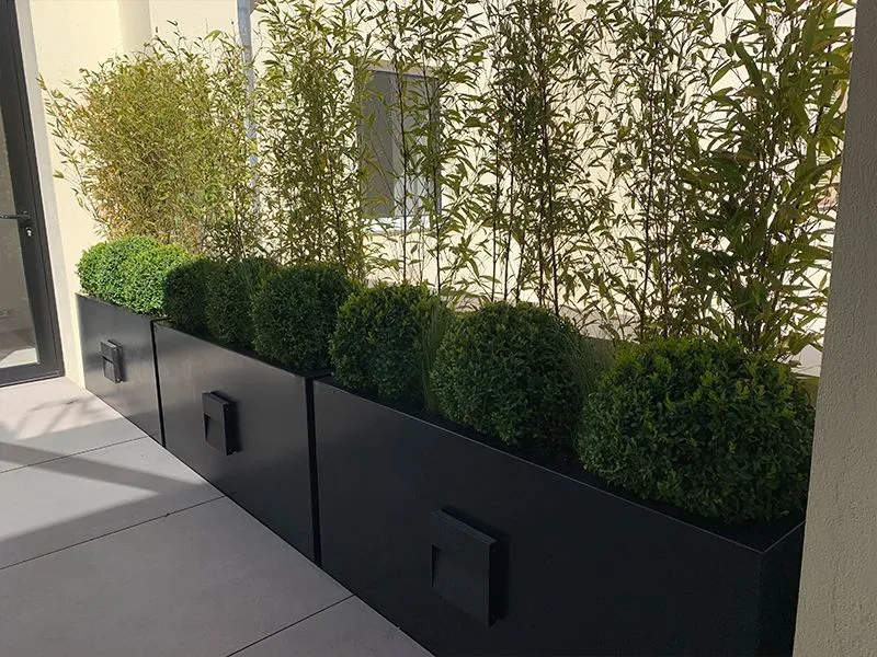 Implantación vegetal en terraza