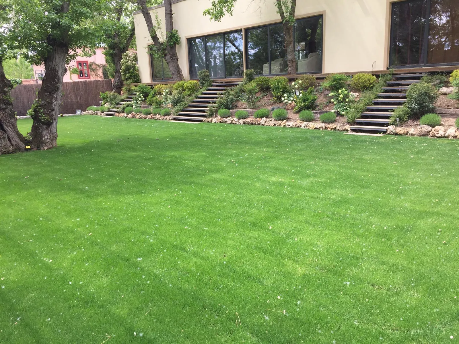 Rehabilitación de jardín residencial